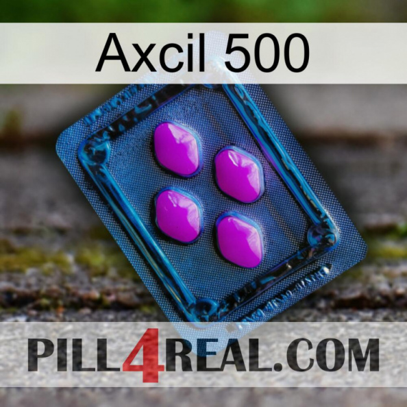 Axcil 500 04.jpg